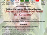locandina-invito XIV Incontro-Dibattito. "Avversità e Difesa dei Frutti del Castagno"