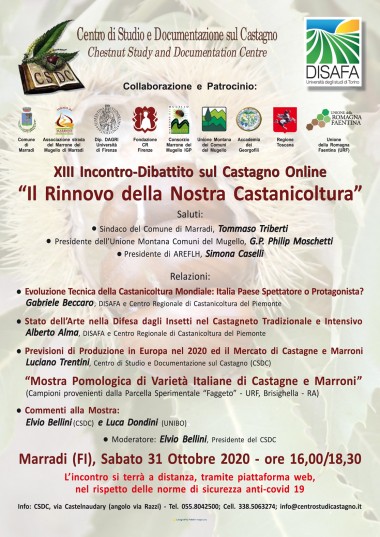 locandina/invito XIII Incontro-Dibattito sul Castagno